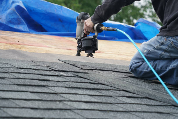 Quick and Trustworthy Emergency Roof Repair Services in Northdale, FL